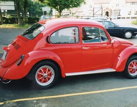 Beetle